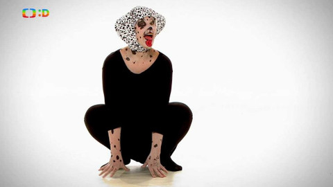 Dr. Žako - O neslyšící dalmatince