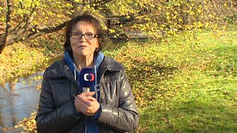 Chcete mě? - 25. listopadu 2012