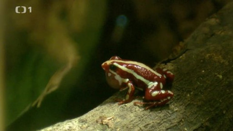 Polopatě - 16. března 2014