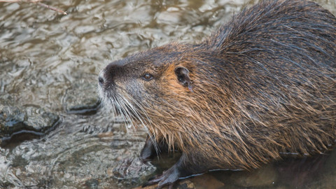 Chcete mě? - 10. dubna 2016