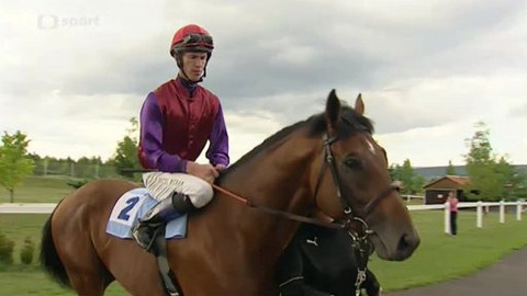 Turf - 3. září 2014