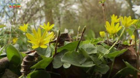 Novinky z přírody - Epizoda 8/53