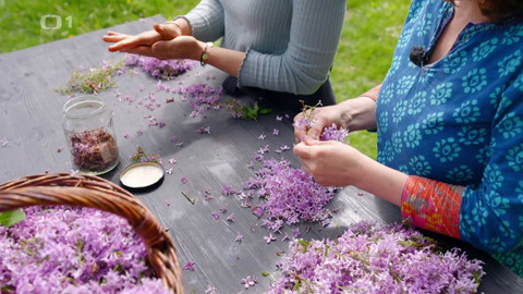 Co naše babičky uměly a na co my jsme zapomněli - Když kvete šeřík