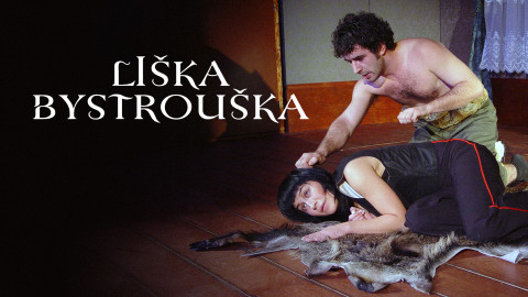 Liška Bystrouška