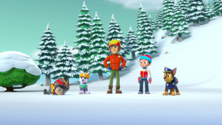 Tlapková patrola III