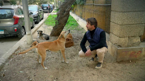 Postřehy odjinud - Káhira očima Štěpána Macháčka