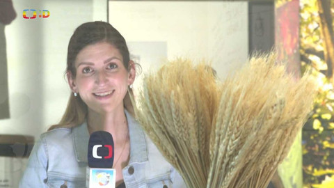 Zprávičky - 10. června 2022