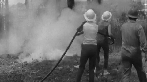 Televizní noviny - 16. prosince 1968