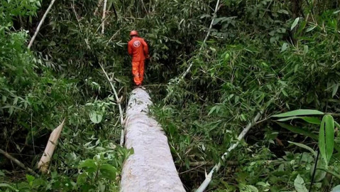 Dobrodružství vědy a techniky - FSC - praní špinavého dřeva