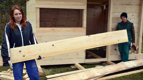 Malá farma - Příprava na zimu