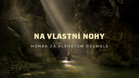 Na vlastní nohy - 5/8 Honba za klenotem džungle