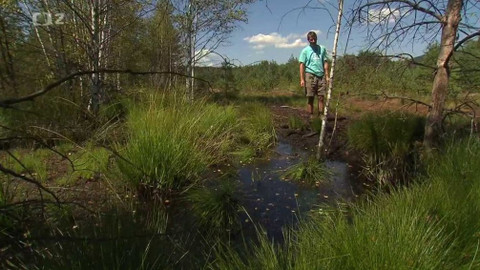 Nedej se! - Jak vyzrát na sucho?
