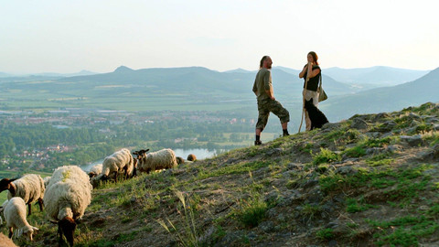 Co naše babičky uměly a na co my jsme zapomněli - Krajina