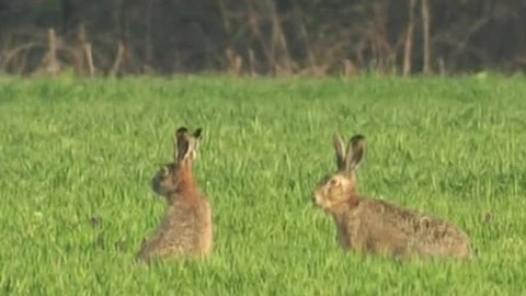 Tisíc let české myslivosti - 5. října 2013
