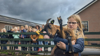 Tak pravila Floor II