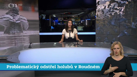 Události v regionech (Praha) - 5. listopadu 2024