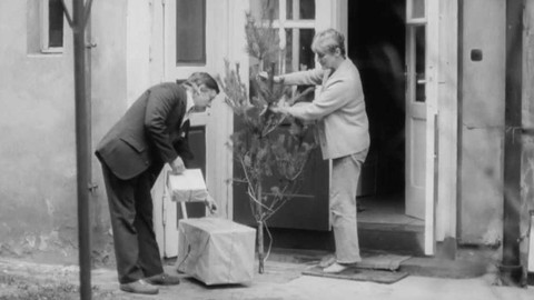 Filmový zpravodaj - Vstříc radovánkám