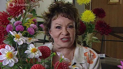 Dobrá rada nad zlato - 28. října 2006