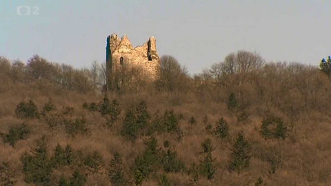 Štíty království českého - 3/10 Štíty Přemyslovců