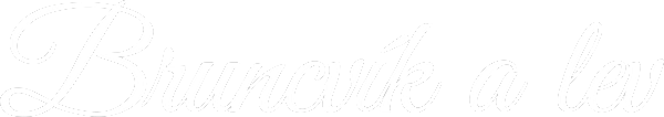 Bruncvík a lev