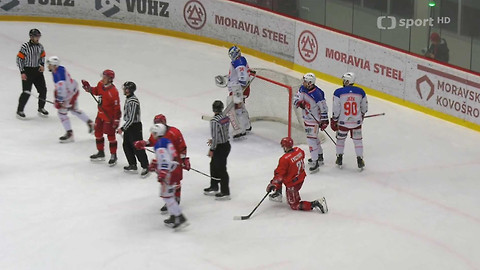 1. česká hokejová liga mužů - Maxa liga - souhrn