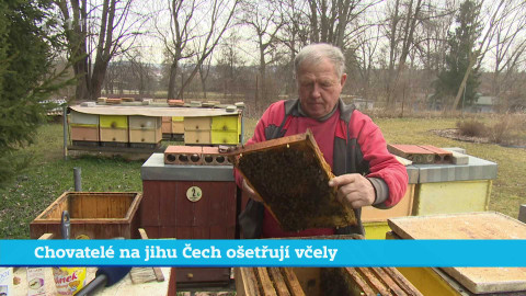 Události v regionech (jih a západ) - 11. března