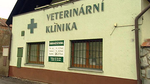 Zprávičky - 24. března 2012