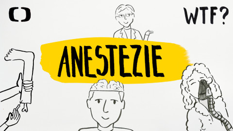 What the Fact? - Jak funguje anestezie?