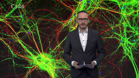 Horizont ČT24 - 18. dubna 2019