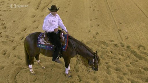 Světové jezdecké hry 2014 Francie - 6. den