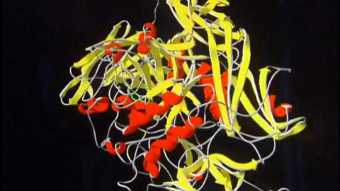 Popularis - 25. ledna 2005