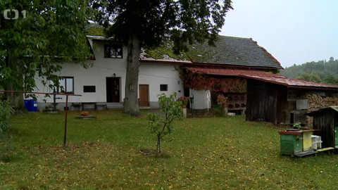 Černé ovce - 3. prosince 2020