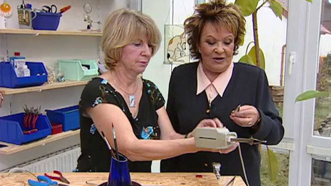 Dobrá rada nad zlato - 17. února 2007