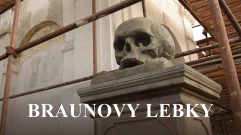 Braunovy lebky