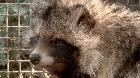 Chcete mě? - 19. dubna 2015