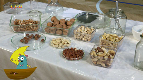 Draci v hrnci - Kdo jí spoustu ořechů, nevymyslí neplechu