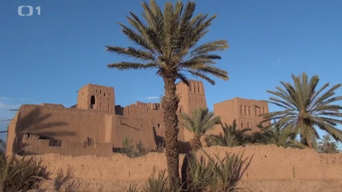 Objektiv - 7. března 2021