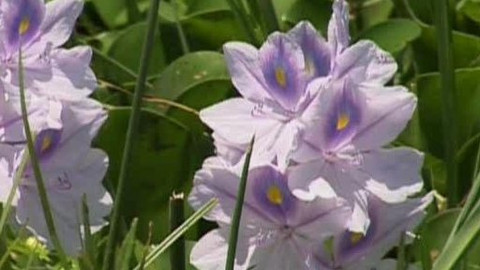 Přidej se - Afrika IV.