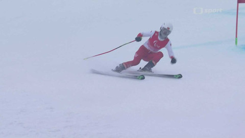 XIII. Zimní paralympijské hry v Pekingu 2022 - Alpské lyžování