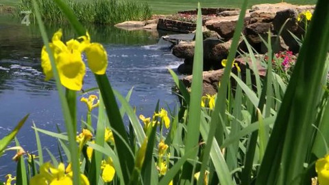 PGA Tour - PGA Tour 2011