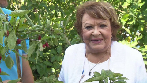 Hobby naší doby - Hobby naší doby - letní speciál