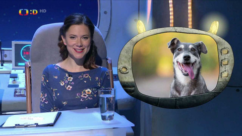 PLANETA YÓ - 19. prosince 2022