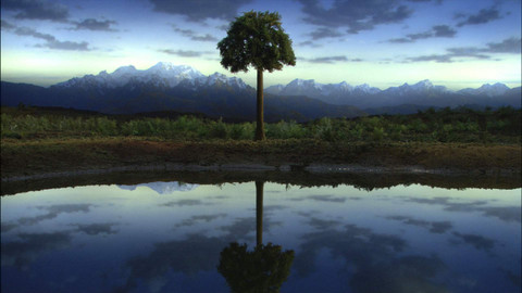 Zázračná planeta - 3/6 Cesta na souš