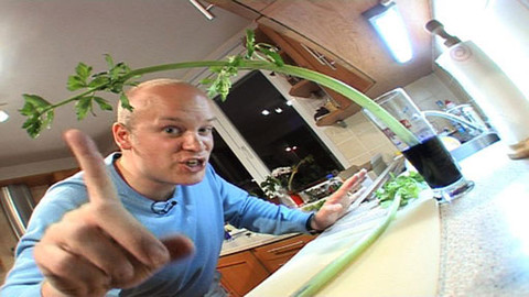 PORT - 30. dubna 2008