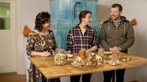 Co naše babičky uměly a na co my jsme zapomněli - Dary z lesa i záhonu