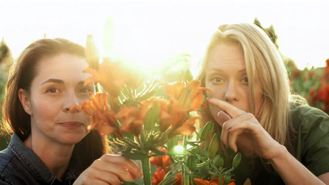 Herbář - Život je krásný