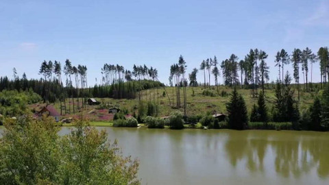 Bilance - Kam zmizely české lesy?