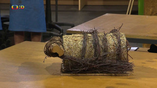 Šikulové - Velká výzva