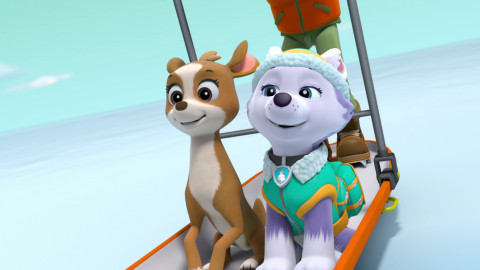 Tlapková patrola - Tlapky nechávají Marshalla doma / Tlapky zachraňují jelínka