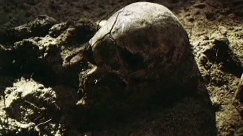 Člověk v tísni - Málem zapomenutý les